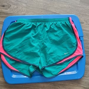 Nike Dri-fit Shorts